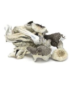 Great White Monster Mushroom