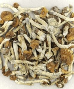 Malabar mushroom