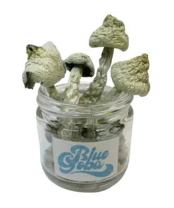 Blue Goba