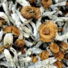 Trinity Mushroom