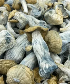 Yeti Mushroom Strain
