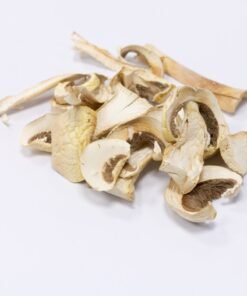 Horse Mushroom