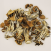 Cambodian Mushrooms