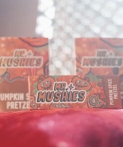 Mr Mushies Pumpkin Spice Pretzel